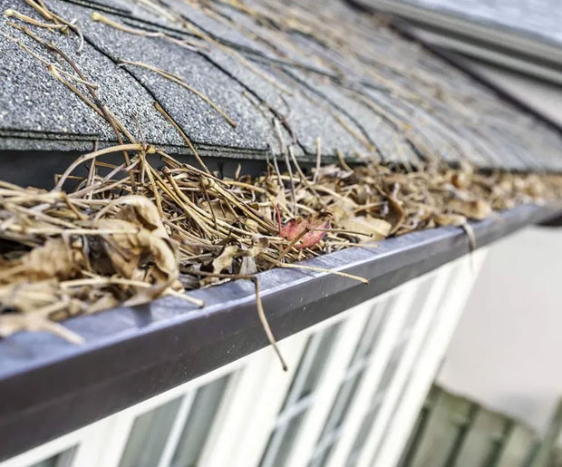 Signs you need gutter guards