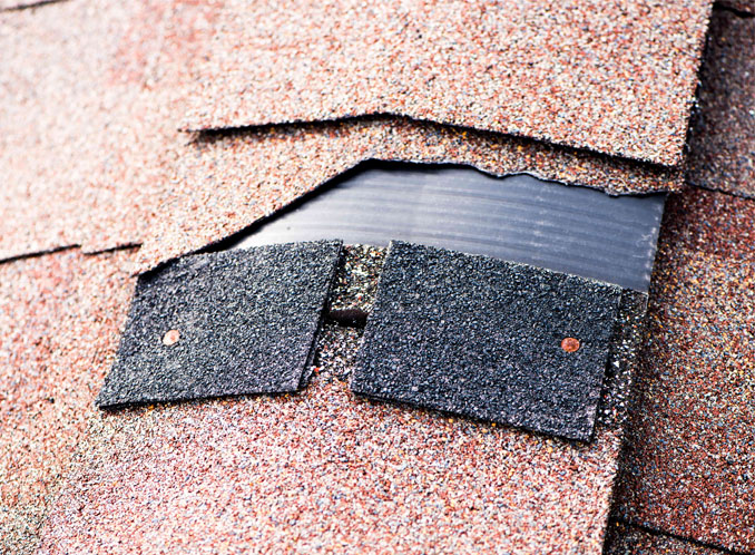 Damaged roof in need of repair