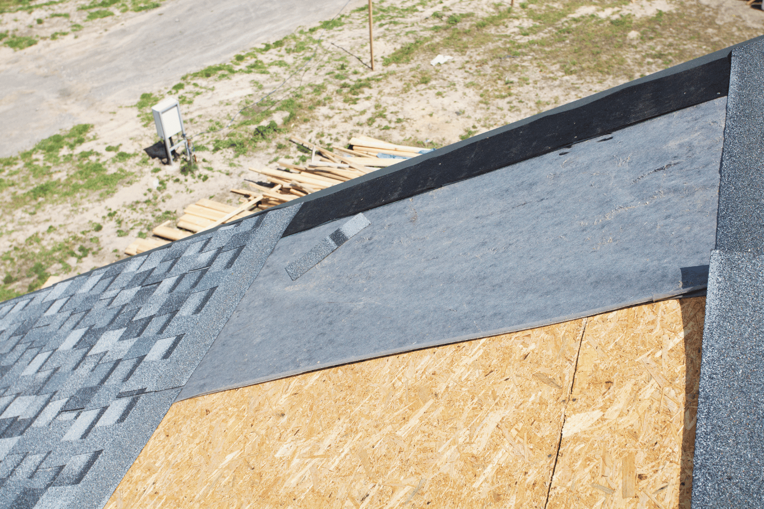 A homeowner inspecting their asphalt shingle roof, emphasizing maintenance tips for asphalt shingle roofs. 