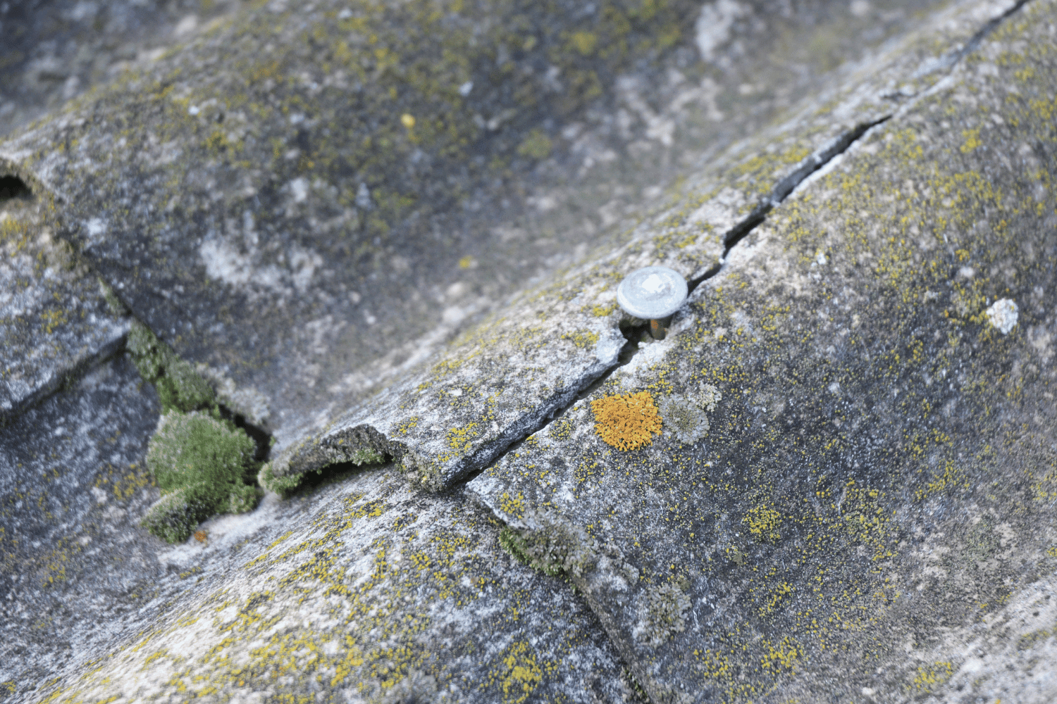 A visual representation of common signs indicating a roof's age, such as cracked shingles and dark streaks. This can help homeowners understand how do I know if I need a new roof. 