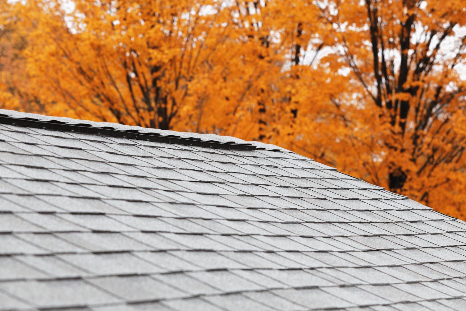 An overview of ridge cap shingles on a roof. 