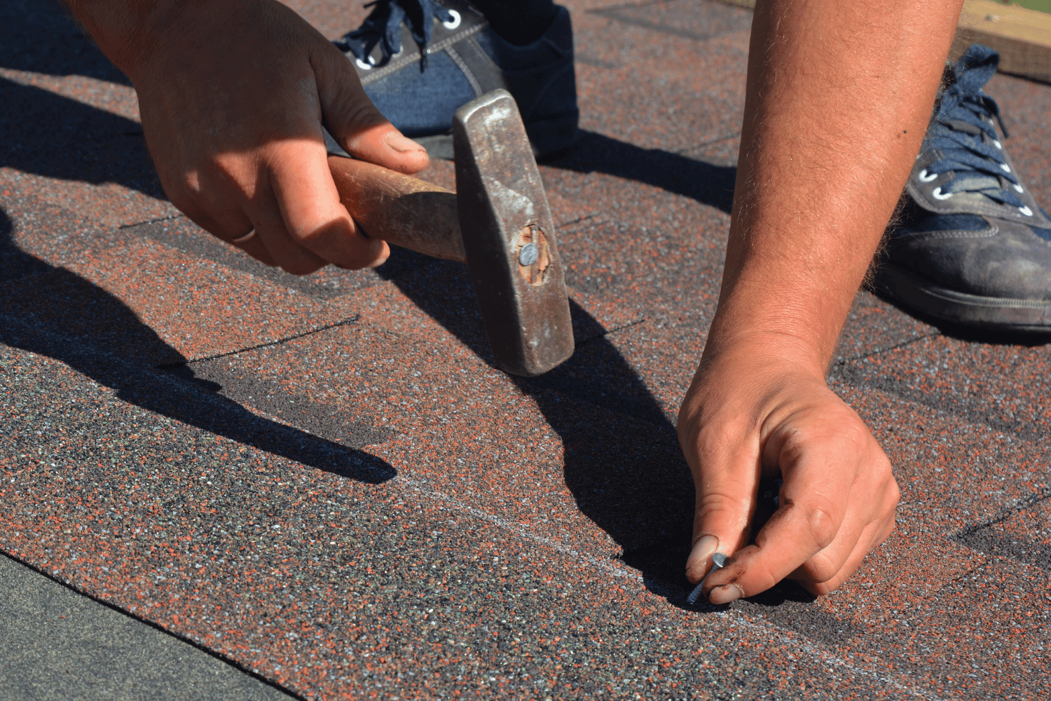 Different types of asphalt shingles displayed, including three-tab and architectural shingles. 