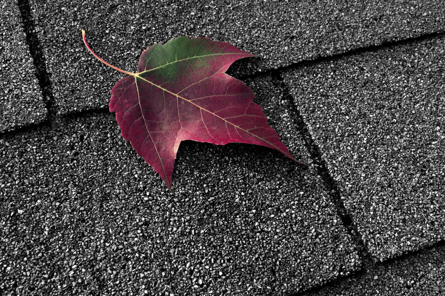 A well-maintained asphalt shingle roof demonstrating proper maintenance techniques. 