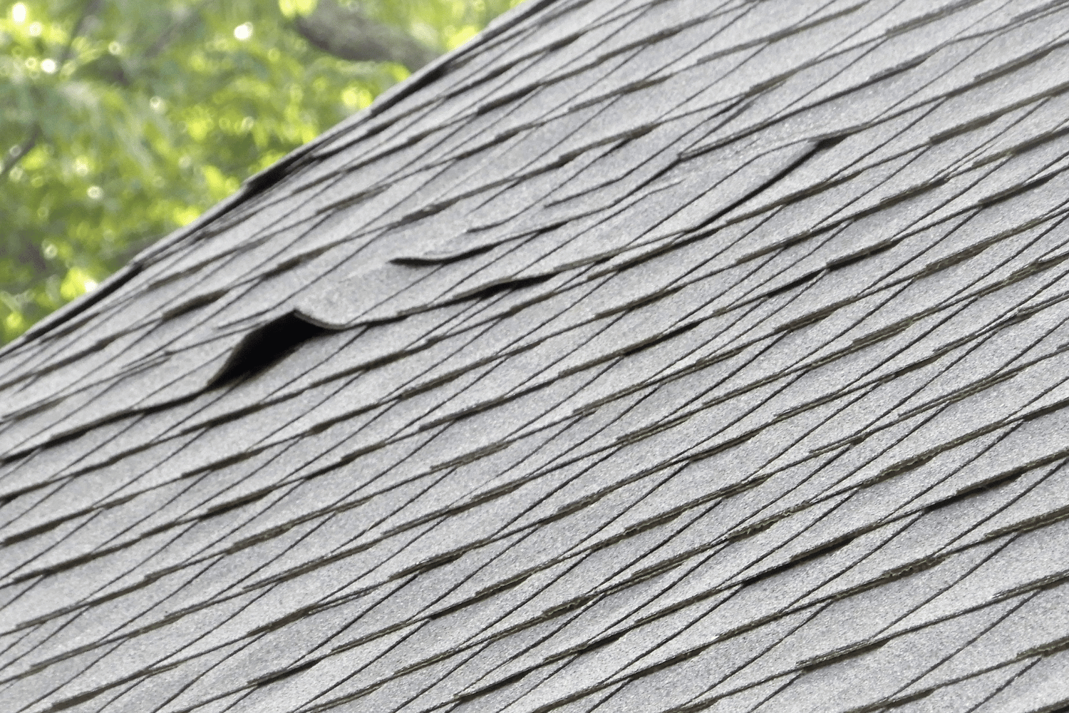 Addressing buckled shingles on a roof. 