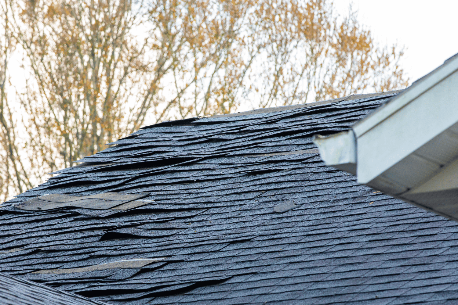 Financial considerations for roof replacement, including costs and potential financing options for homeowners. 