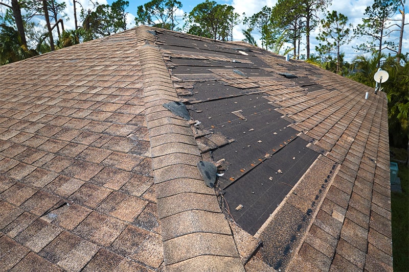 A roof featuring a compromised shingle alongside noticeable damage across the roof structure