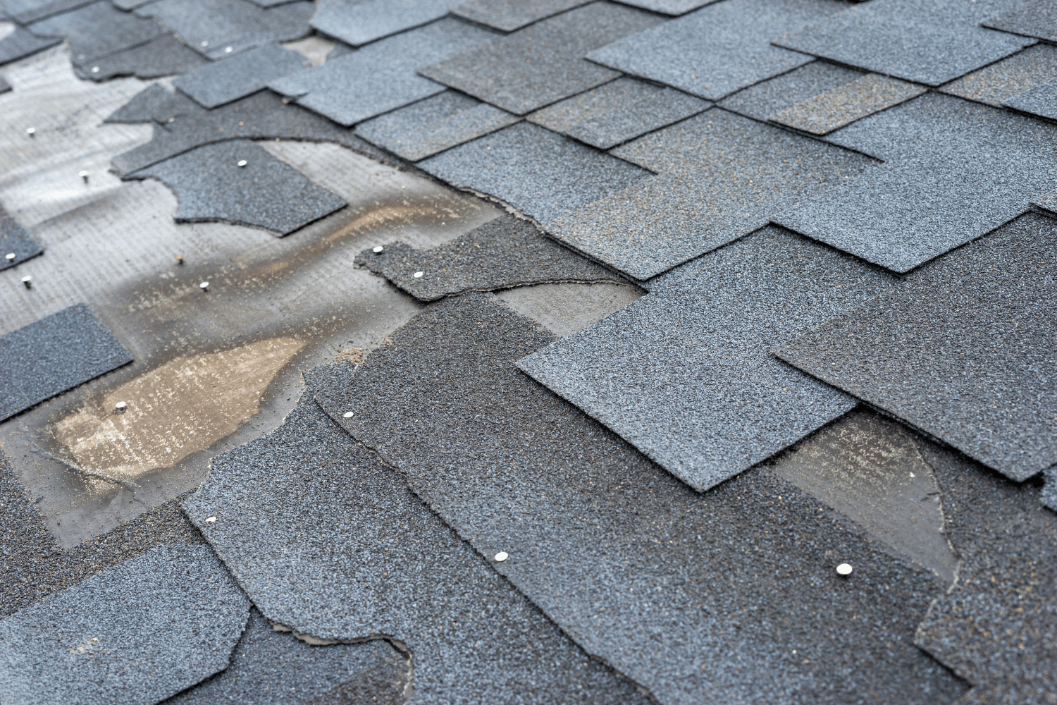 Visible damage signs on a roof that indicate the need for inspection and potential replacement. 