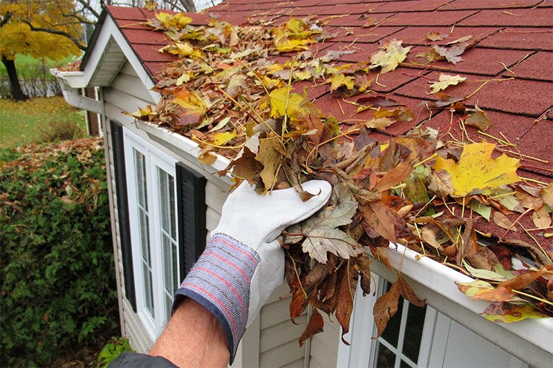 A person using a broom to clear leaves from a sloped roof on a sunny day.