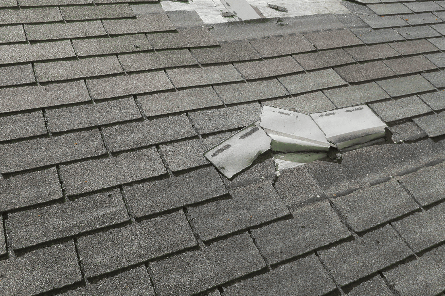 A close-up view of a loose shingle on a roof, highlighting the potential for water infiltration.