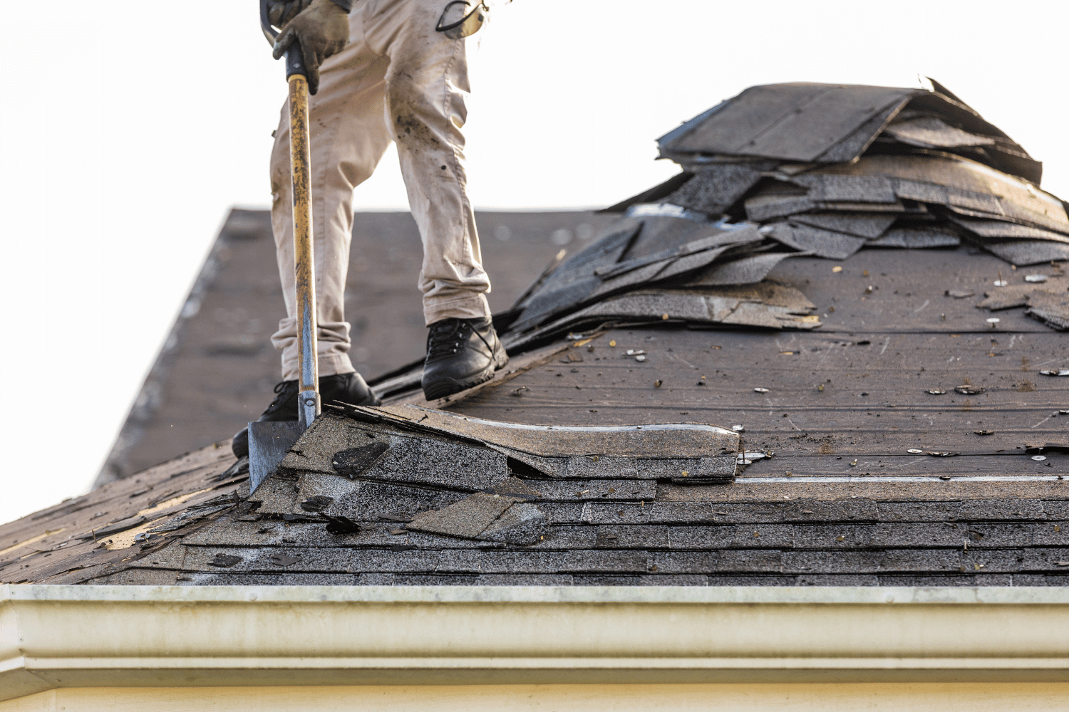 An illustration of a 30-year shingle roof highlighting its durability.