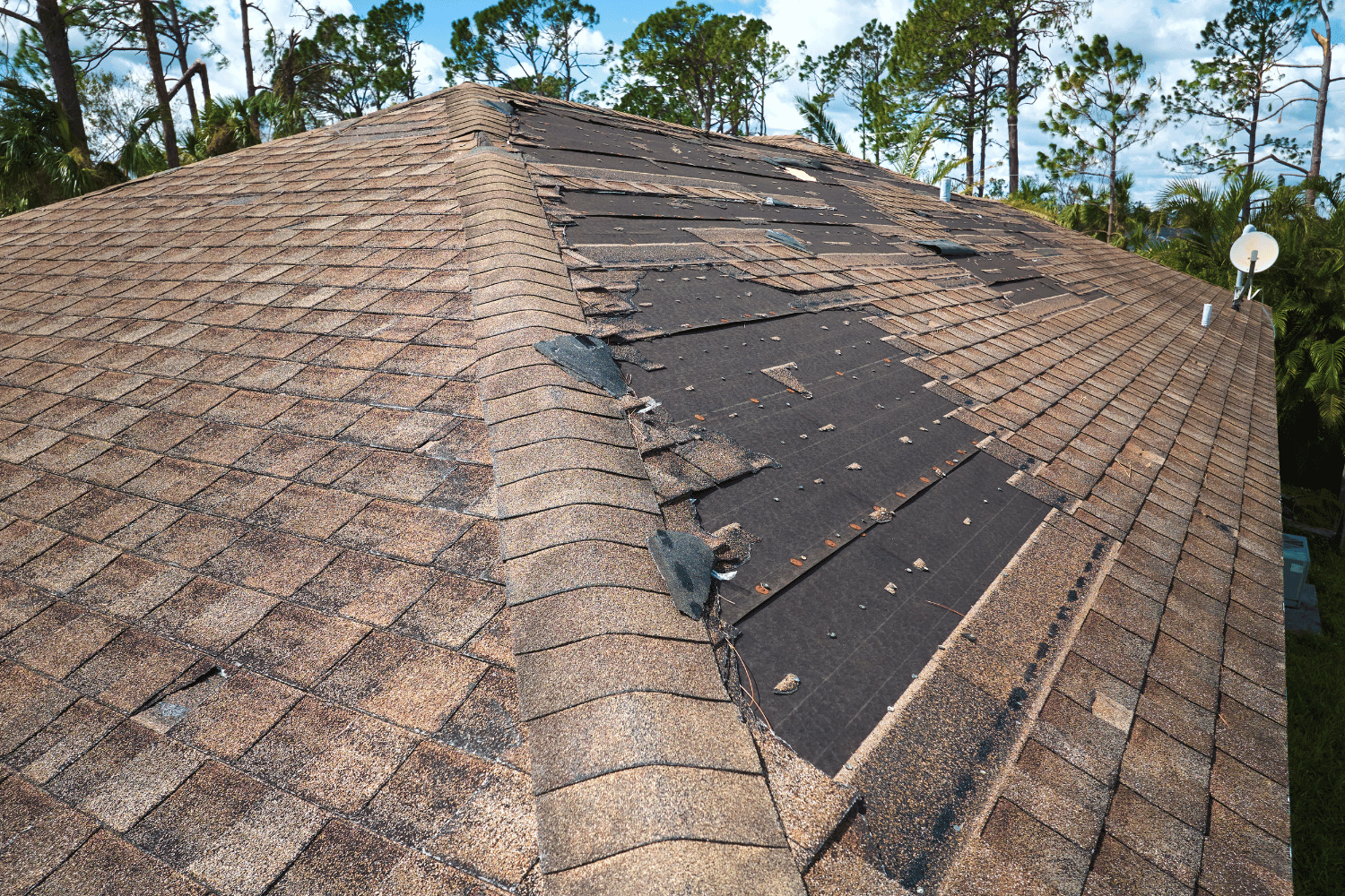 An image showing visible signs of wind damage to a roof, including missing and damaged shingles.