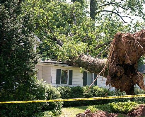 Storm-Damage