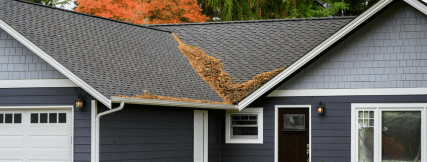 Fall Roof